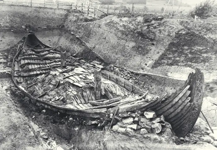 The Oseberg ship partly excavated.