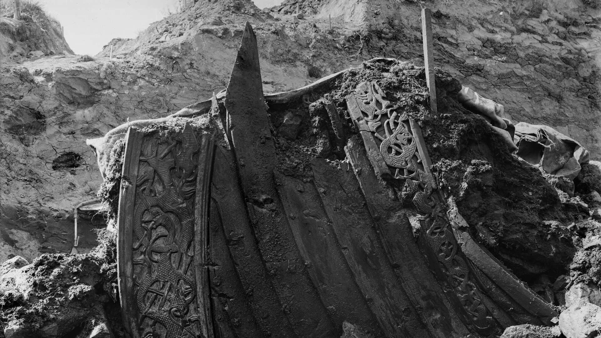 Historisk svarthvitt bilde av deler av Osebergskipet som graves ut av jorden.
